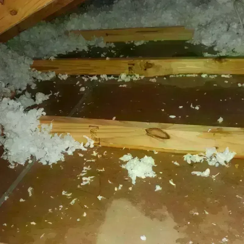 Attic Water Damage in Plainfield, IL