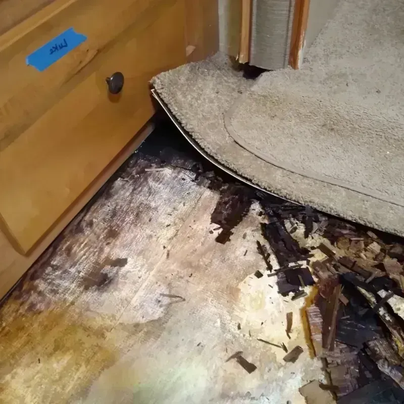 Best Wood Floor Water Damage Service in Plainfield, IL